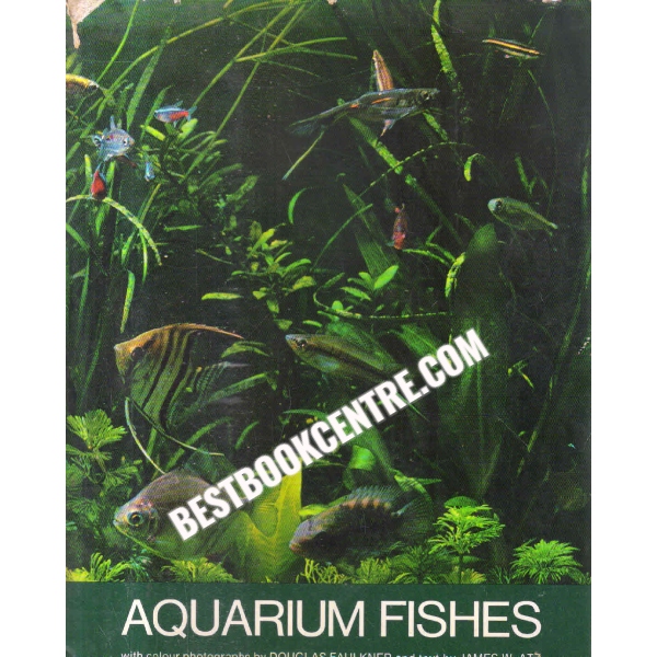 aquarium fishes 1st edition