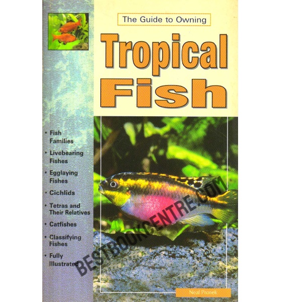 Tropical Fish.