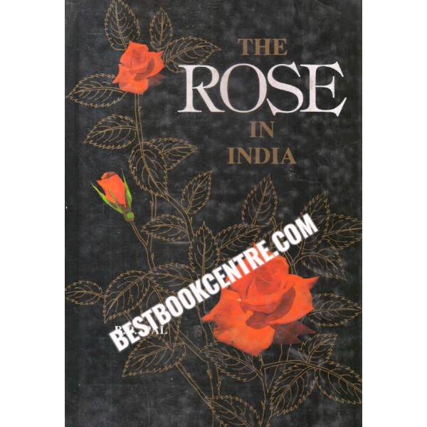 the rose in india 