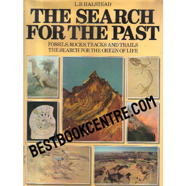 the search for the past 1st edition