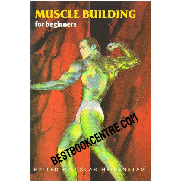 muscle building for beginners