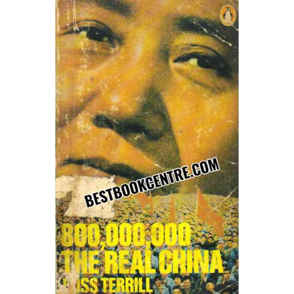 800,000,000 the Real China