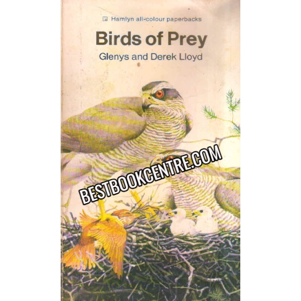 Birds Of prey hamlyn
