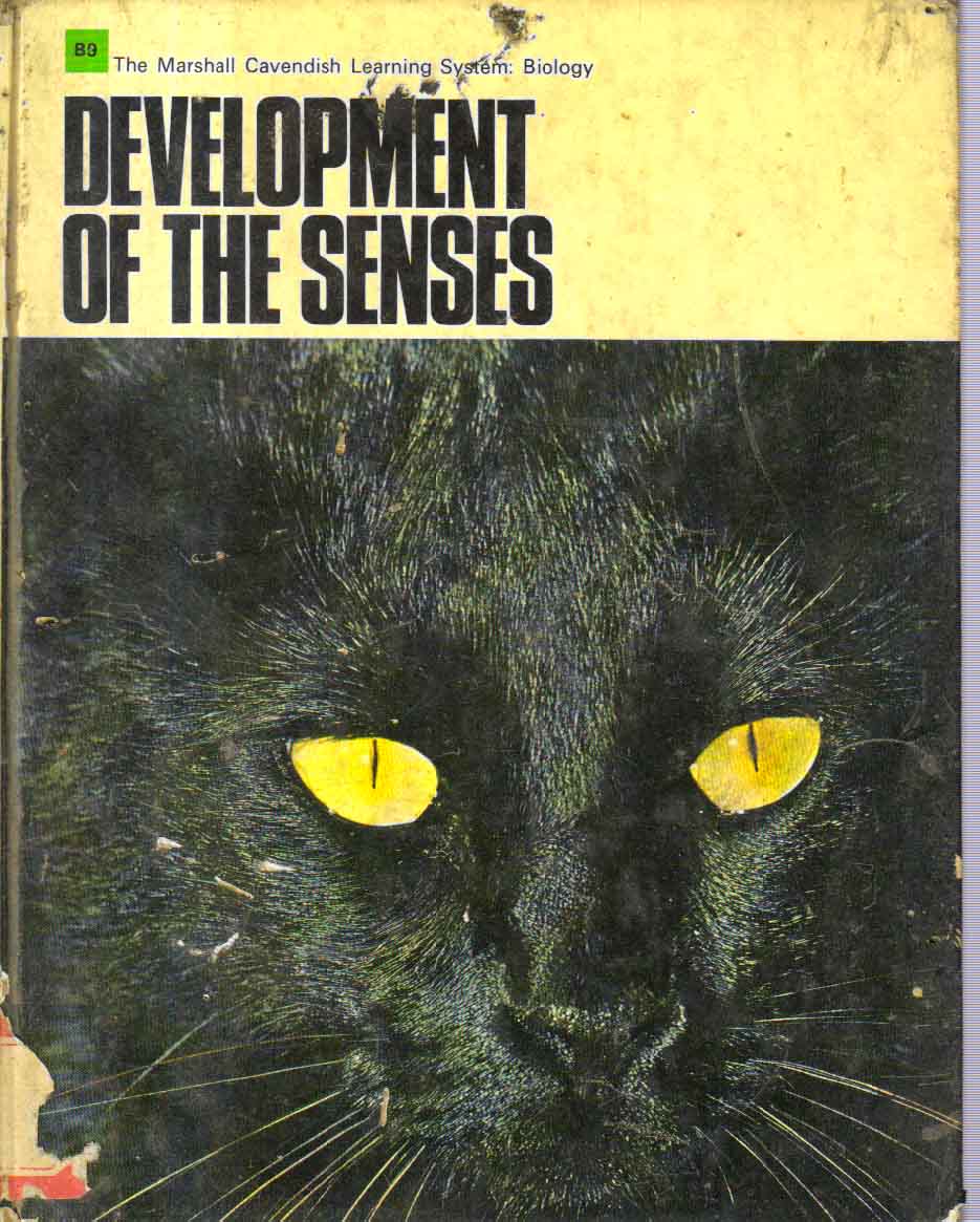 Development of the Senses