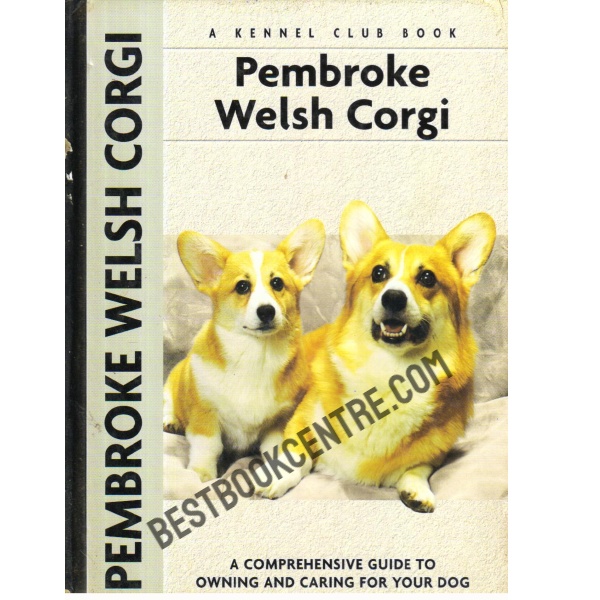 Pembroke Welsh Corgi.