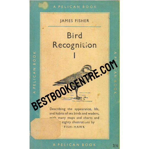 Bird Recognition