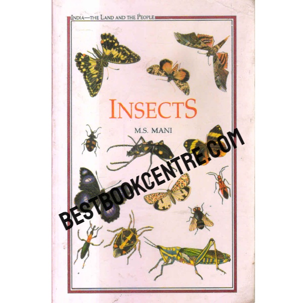 insects