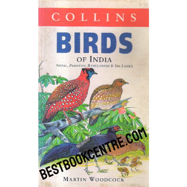 birds of india 