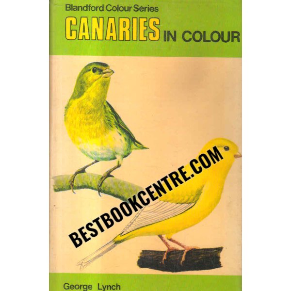 canaries in colour