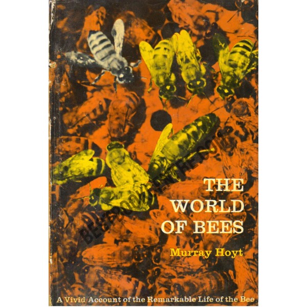 The World of Bees 1st Edition