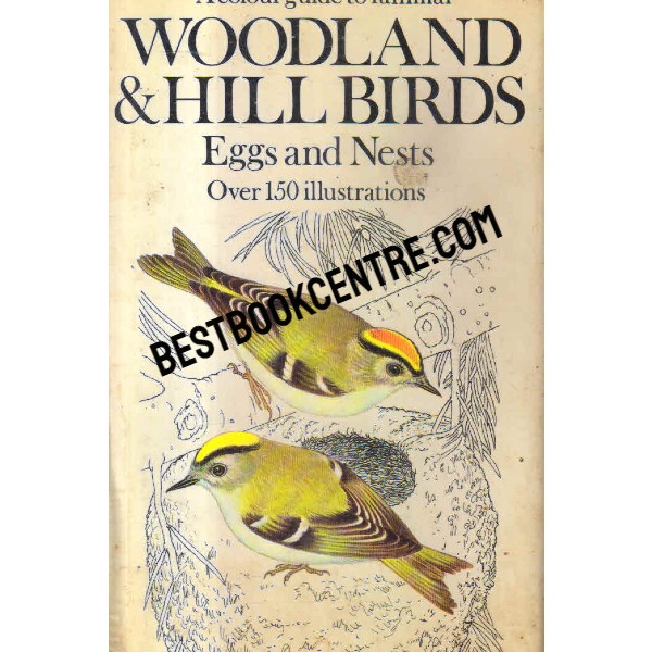 woodland and hll birds eggs and nests