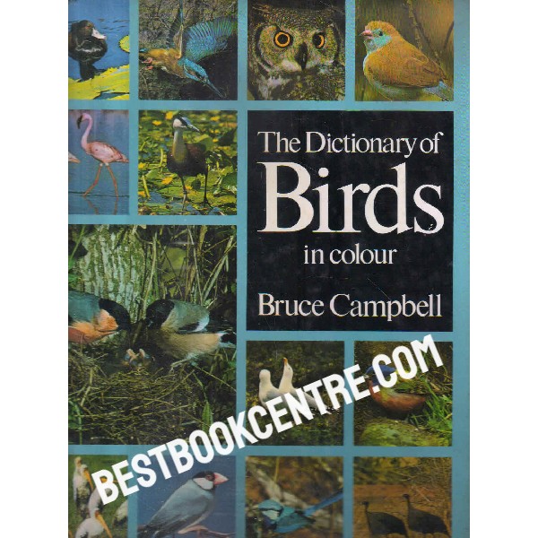 the dictionary of birds in colour