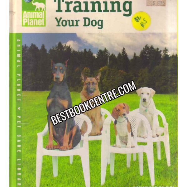 Training Your Dog 