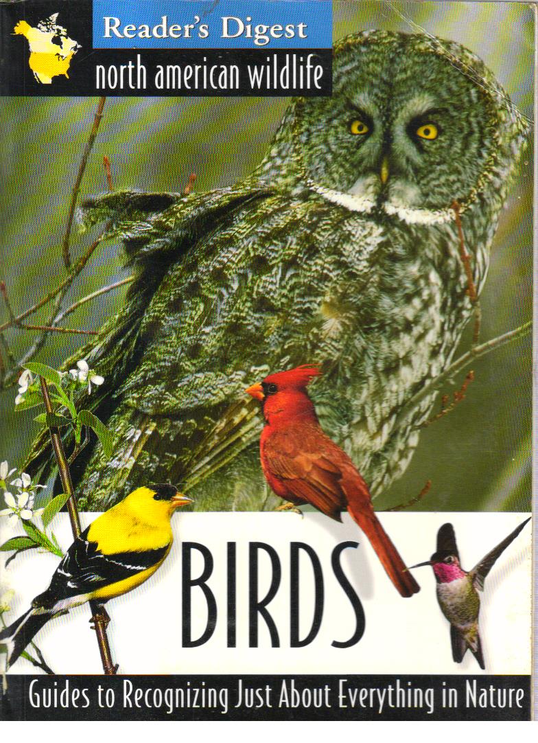 North American Wildlife Birds