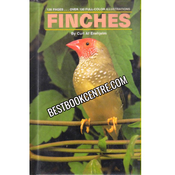 Finches 