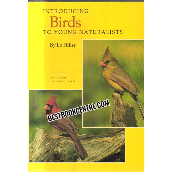 Introducing Birds to Young Naturalists