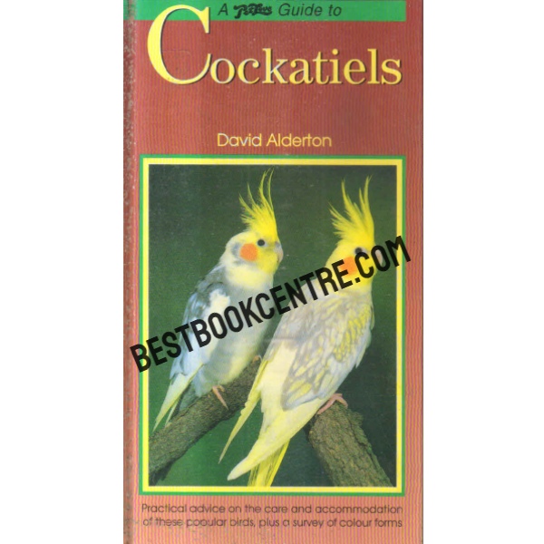 cockatiels