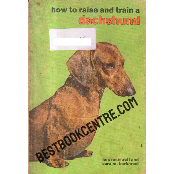 how to raise and train a dachshund