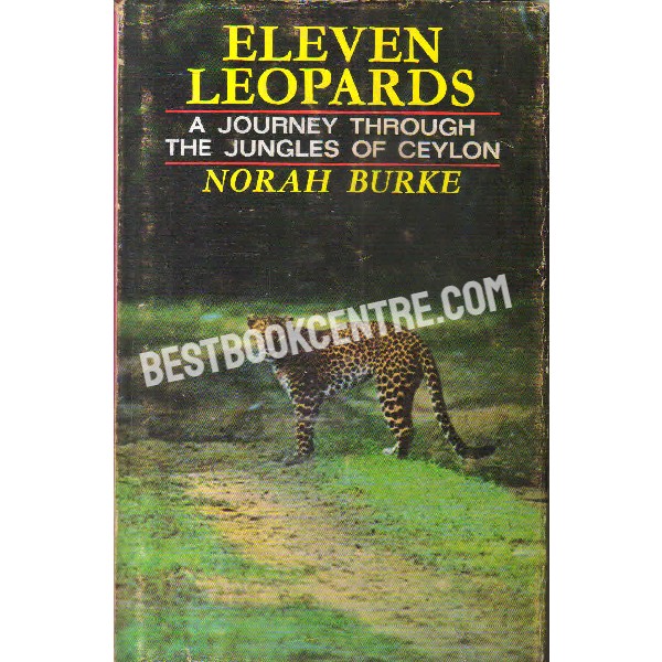 Eleven leopards journey through the jungles of ceylon