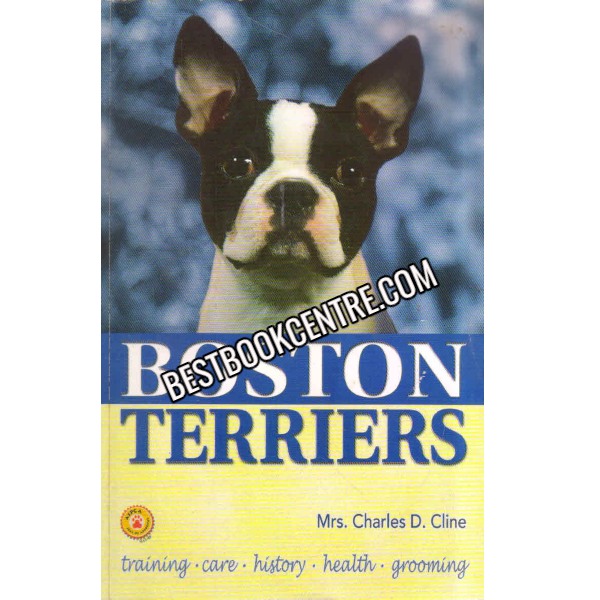 Boston Terriers 