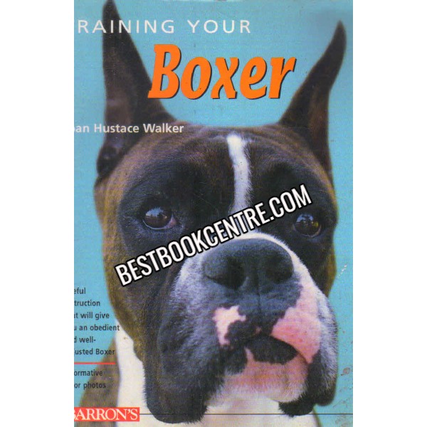 Training your Boxer