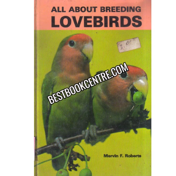 All About Breeding Lovebirds 