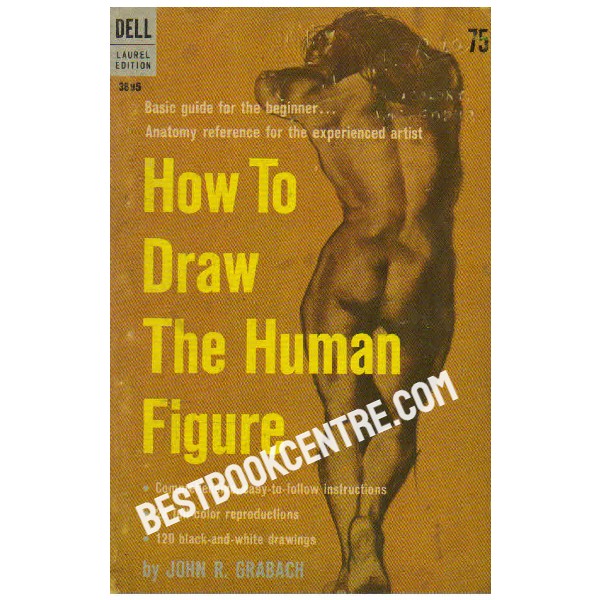 How to Draw the Human Figure