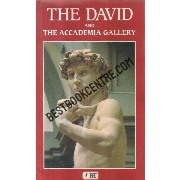 the david and the accademia gallery