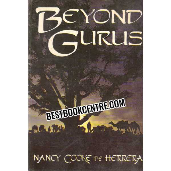 beyond gurus 1st edition