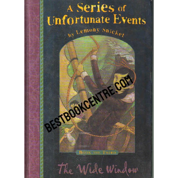 a seried of unfortunate events book third the wide window