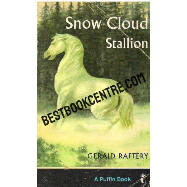 Snow Cloud Stallion