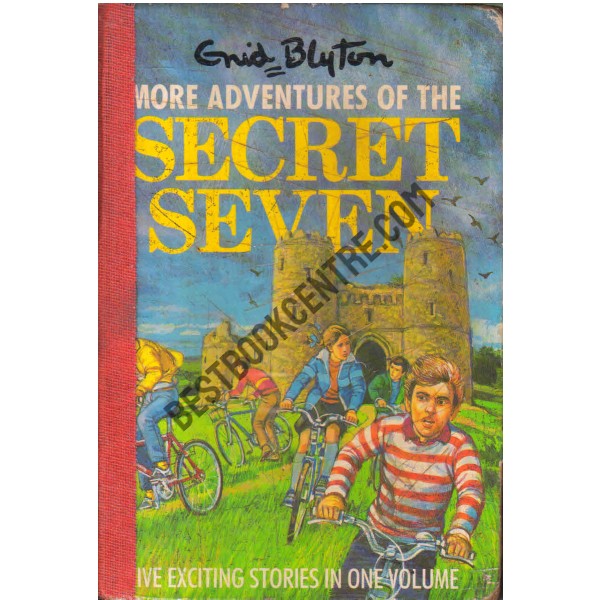 more adventures of the secret seven 