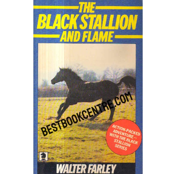 the black stallion and flame