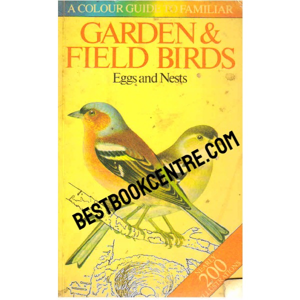 Garden and Field Birds