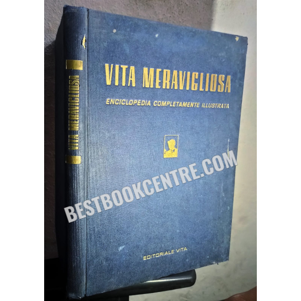 vita meravigliosa