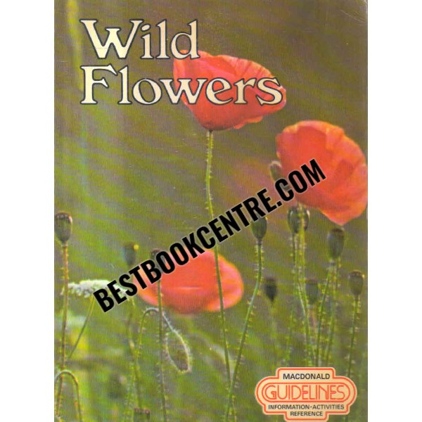 wild flowers