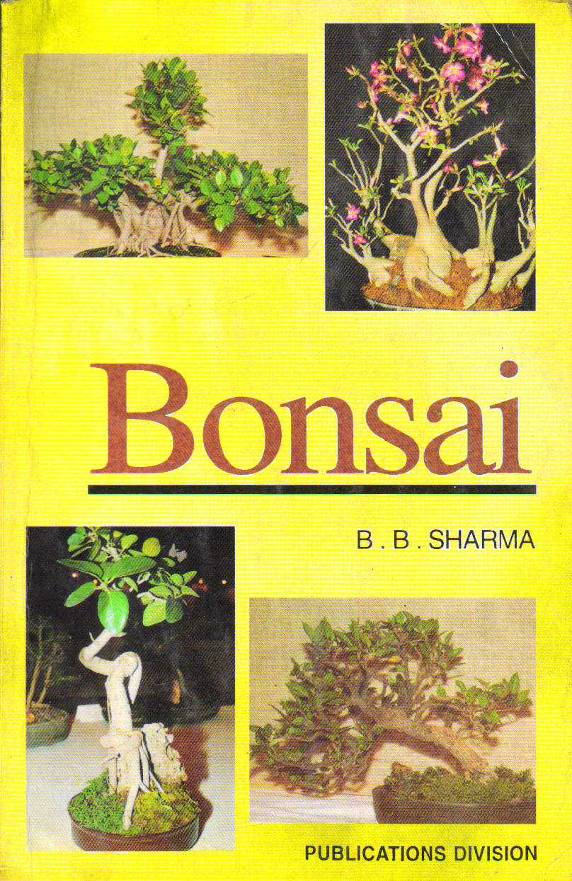 Bonsai 