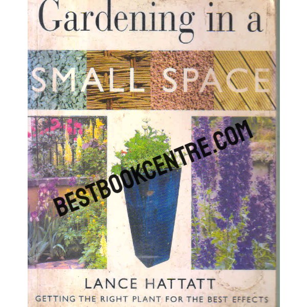gardening in a small space