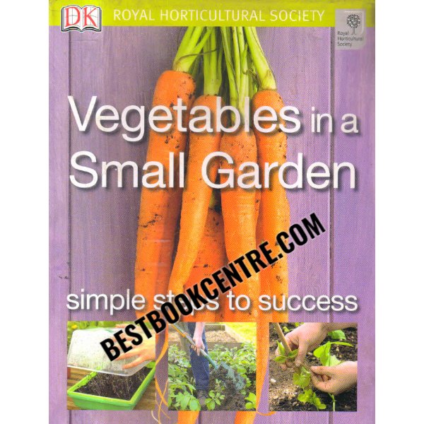 vegetables in a small garden simple to success