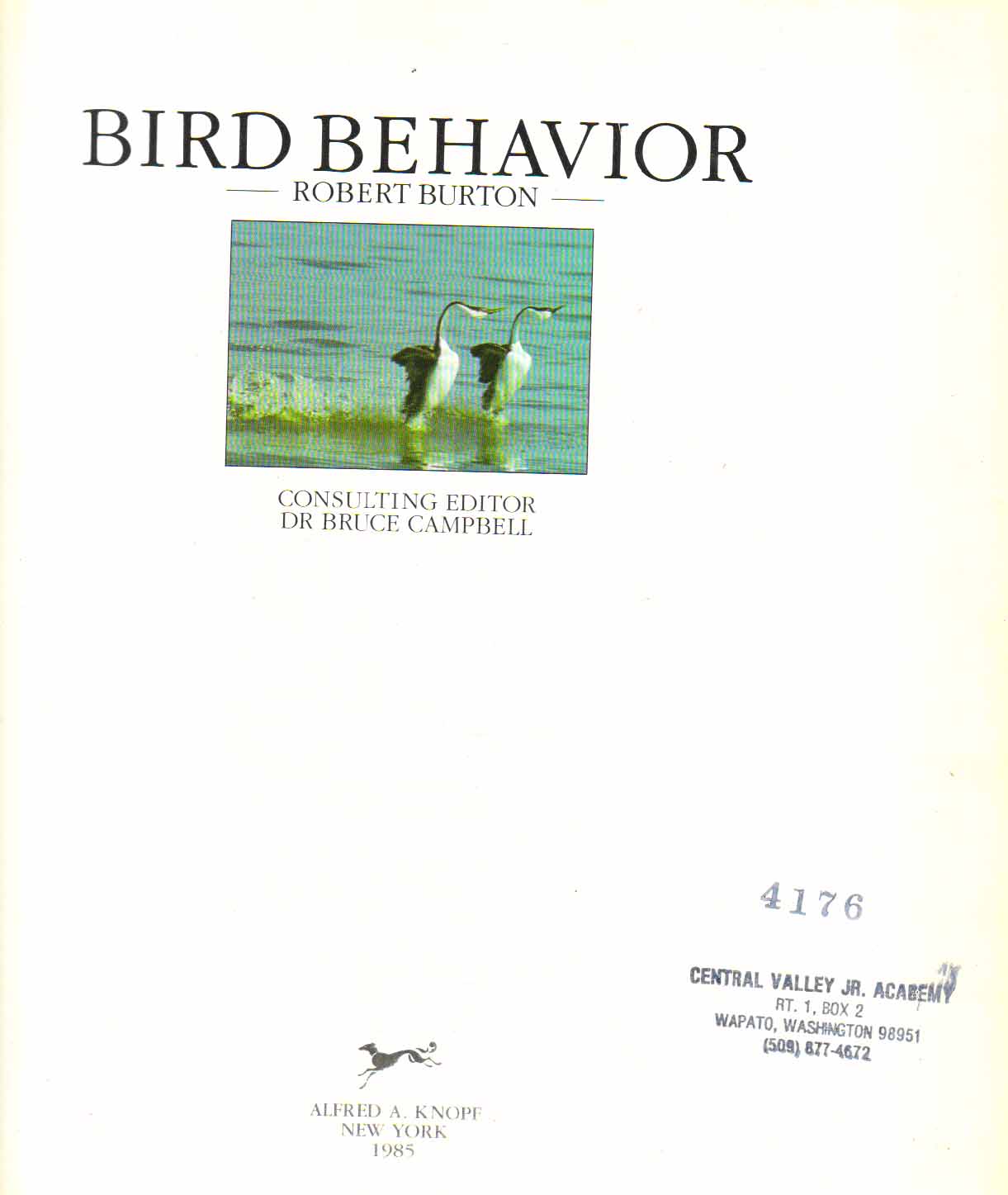 bird-behavior-book-at-best-book-centre