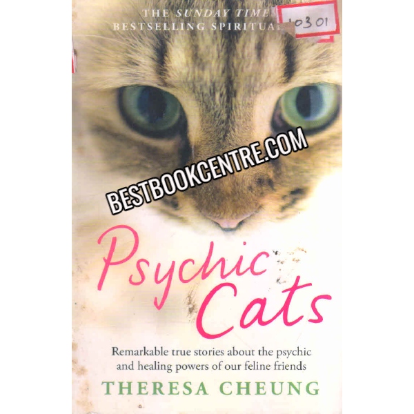 PSYCHIC CATS