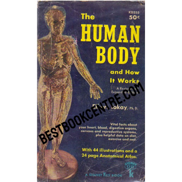 The Human Body and how it Works