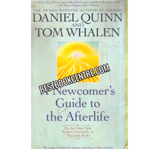 A Newcomes Guide To The Afterlife