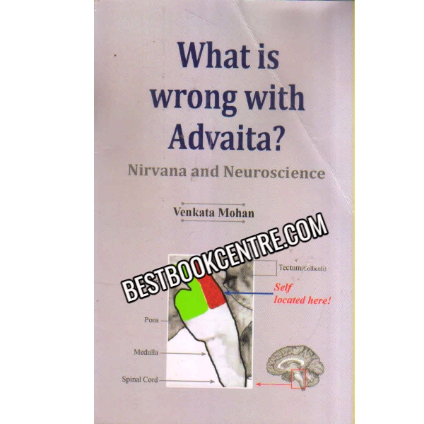 What Is Wrong With Advaita