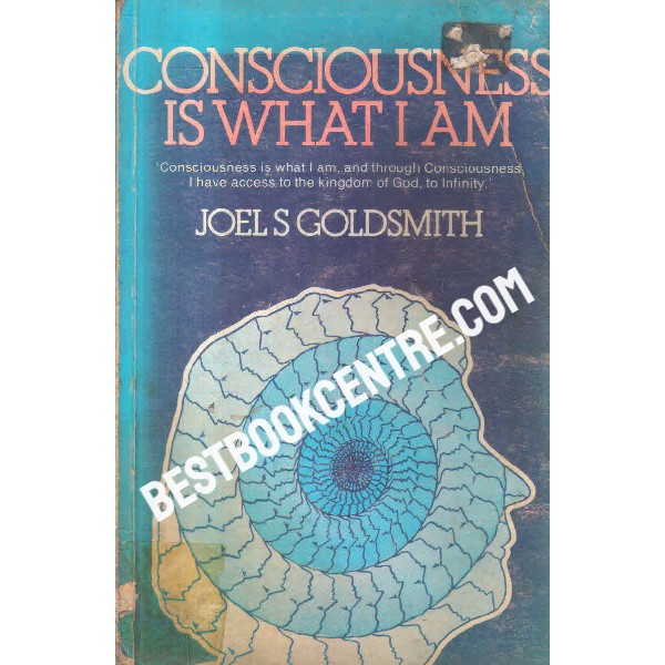 consciousness is what i am