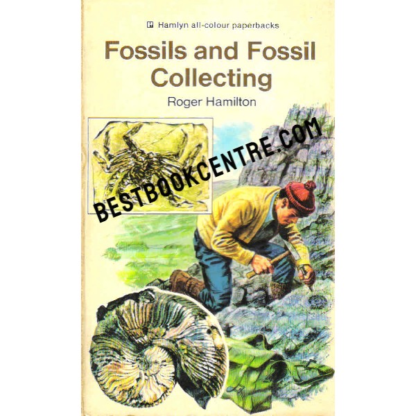 Fossils and Fossil Collecting hamlyn