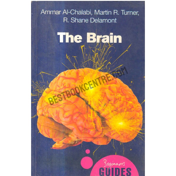 The brain a beginner's guide